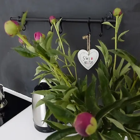 Апартаменты Sweet Apartament